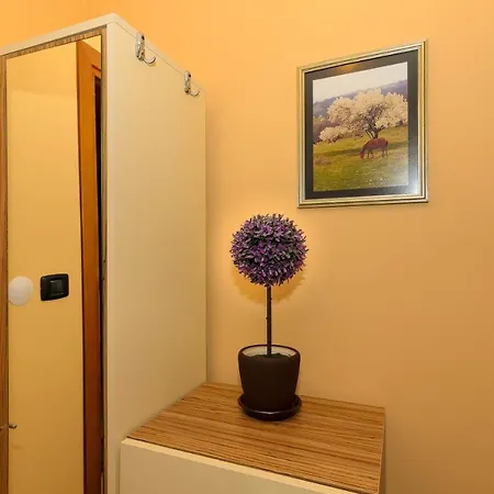 Lavander Bliss Apartment *